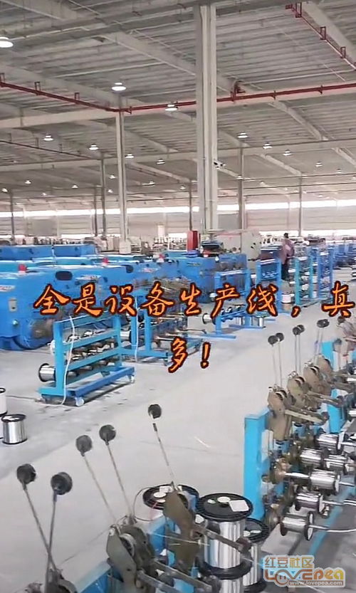 钟山拥抱新机遇 东莞电子厂设备整体搬迁助力产业升级